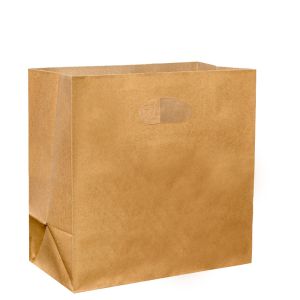 Die Cut Handle Medium Kraft Paper Carry Bag