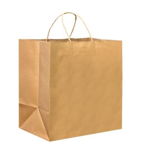 Twist Handle A Large Kraft Paper Carry Bag